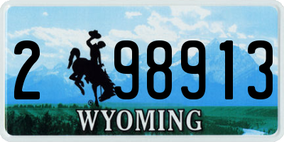WY license plate 298913