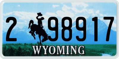 WY license plate 298917