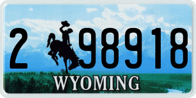 WY license plate 298918