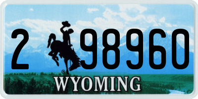 WY license plate 298960