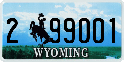 WY license plate 299001
