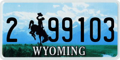 WY license plate 299103
