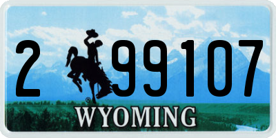 WY license plate 299107