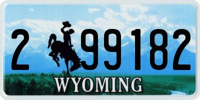 WY license plate 299182