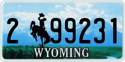 WY license plate 299231
