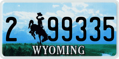 WY license plate 299335