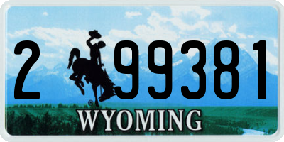 WY license plate 299381
