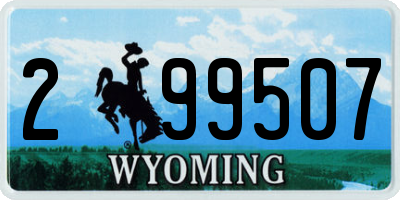 WY license plate 299507