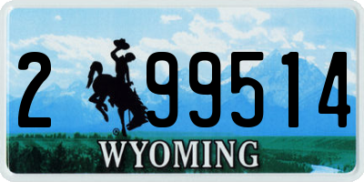 WY license plate 299514