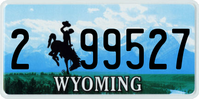 WY license plate 299527
