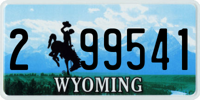 WY license plate 299541