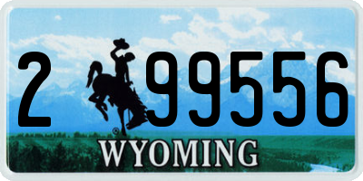 WY license plate 299556