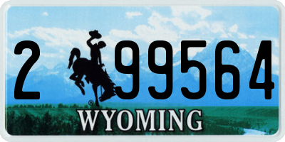 WY license plate 299564