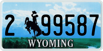 WY license plate 299587