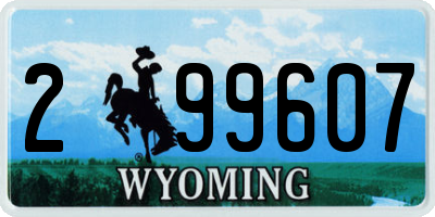 WY license plate 299607