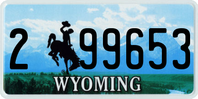 WY license plate 299653