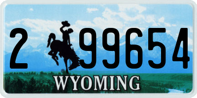 WY license plate 299654