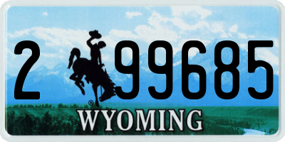 WY license plate 299685