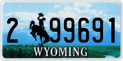 WY license plate 299691