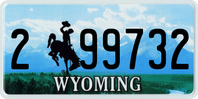 WY license plate 299732