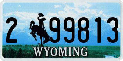 WY license plate 299813