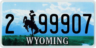 WY license plate 299907