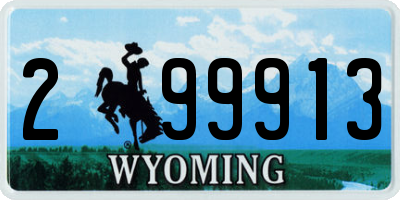 WY license plate 299913