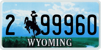 WY license plate 299960