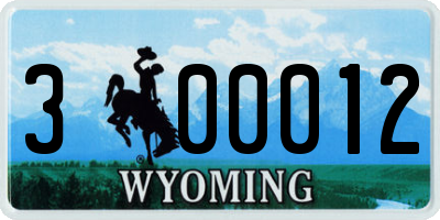 WY license plate 300012