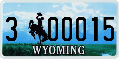 WY license plate 300015