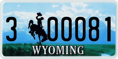WY license plate 300081