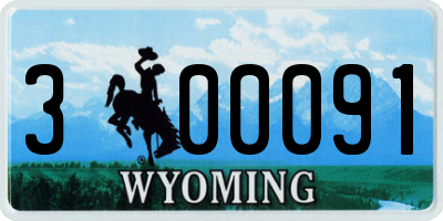 WY license plate 300091