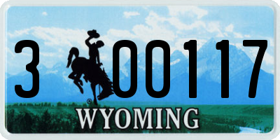 WY license plate 300117