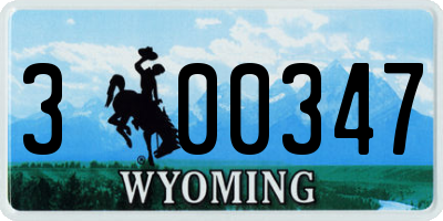 WY license plate 300347