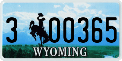 WY license plate 300365