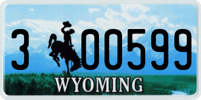 WY license plate 300599