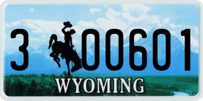 WY license plate 300601