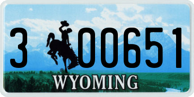 WY license plate 300651
