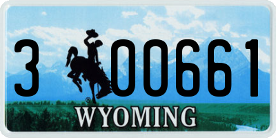 WY license plate 300661