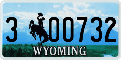 WY license plate 300732