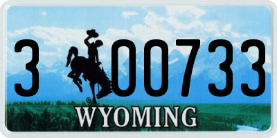 WY license plate 300733