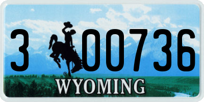 WY license plate 300736