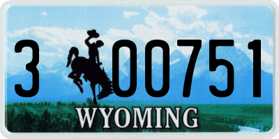 WY license plate 300751