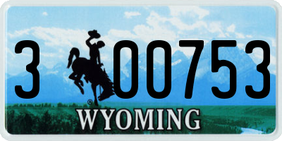 WY license plate 300753