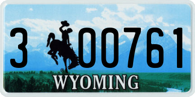 WY license plate 300761