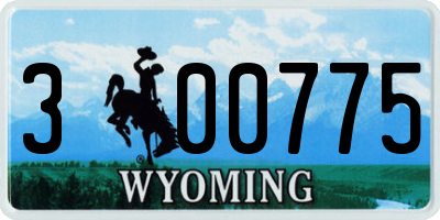 WY license plate 300775