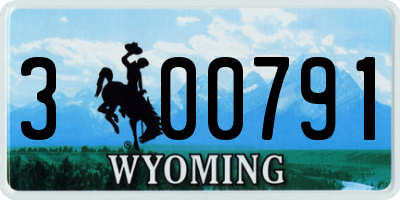 WY license plate 300791
