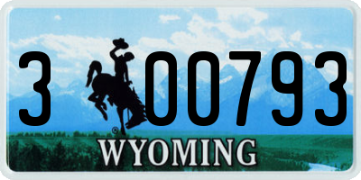 WY license plate 300793