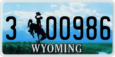 WY license plate 300986