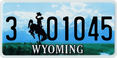 WY license plate 301045